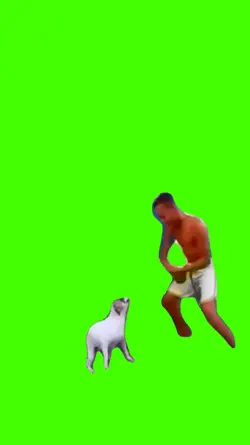 dog em alta