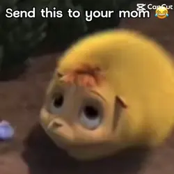 Send to your mom