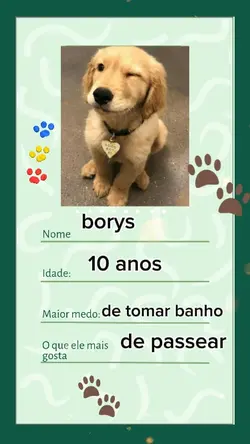Carteirinha