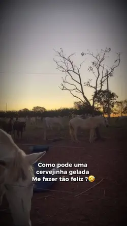 Como pode?
