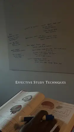 Effective Studying
