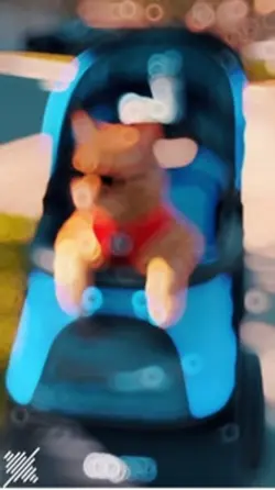 Gato