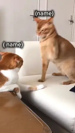 Name 😁