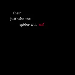 spider web 🕸️ 