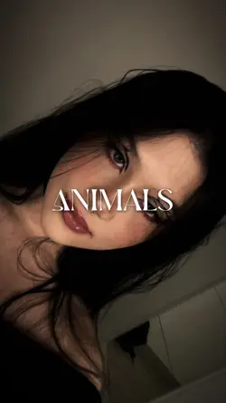 Animals
