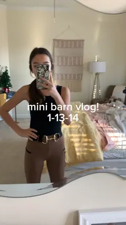 mini barn vlog