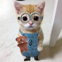 LAAKAKKAAKAK