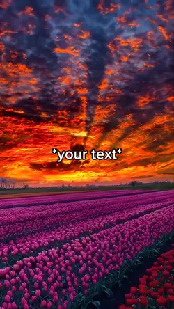 Rose field