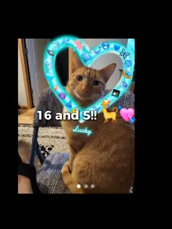 Bingo baby