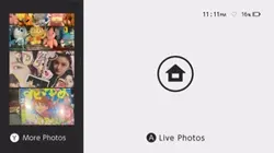 live photo template
