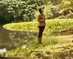 Croc