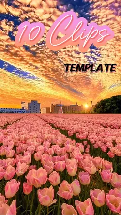 New Trend Template 