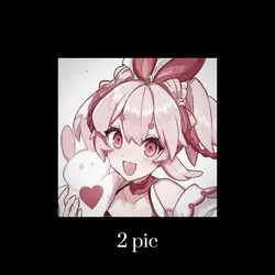2 pic