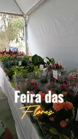 Visita 