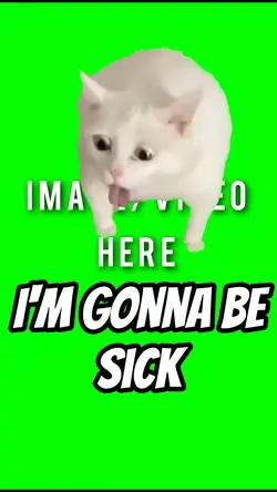 I'm gonna be sick