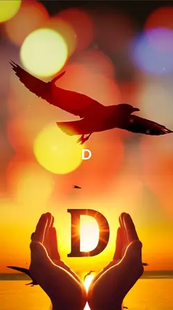 Puesta de sol-D