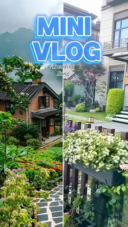 Mini vlog 