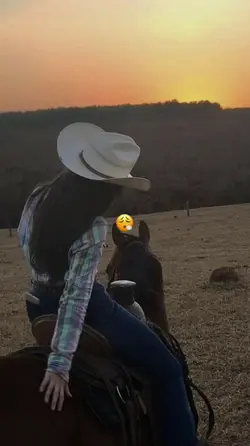 Ai cowboy