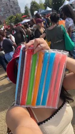 Festival Vlog