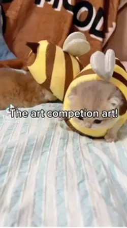 Art comp results