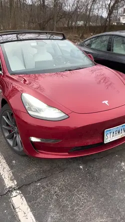 Tesla show