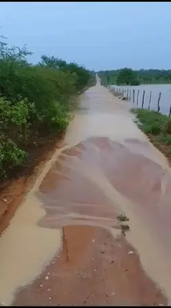 nordeste 