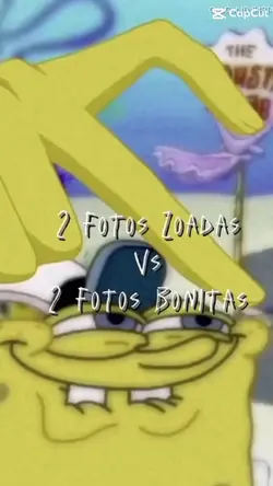 Zoada x Bonita