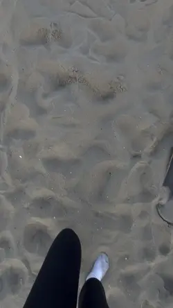 The beach>>