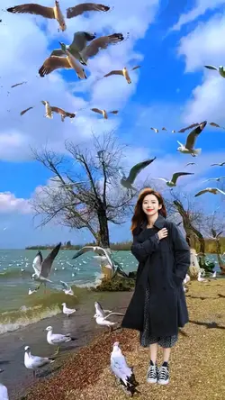 Seagull
