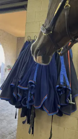 He was a dragon🤣