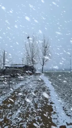 Snow scene