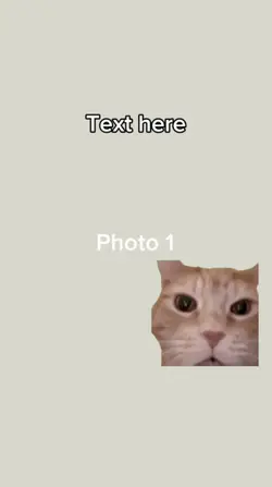 Cat laughing meme😹