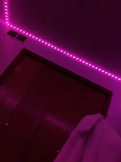 LEDS