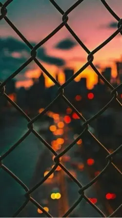 🥰🌹