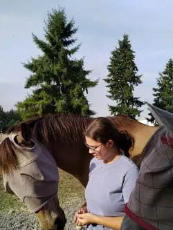 I love geldings but 