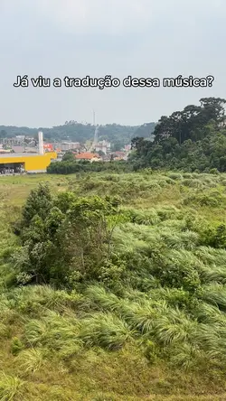 Tradução promises