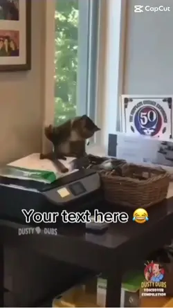 Cat and said memes😂