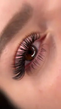 Transition eyelashes