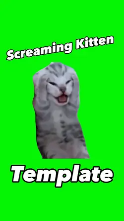 Screaming Kitten 