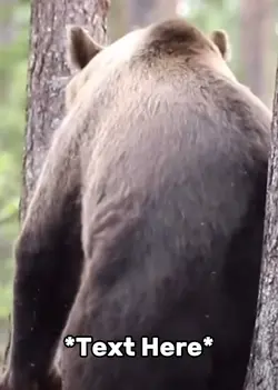 Butt scratch meme 