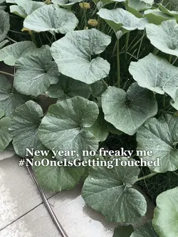 No freaky allowed