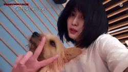 별 