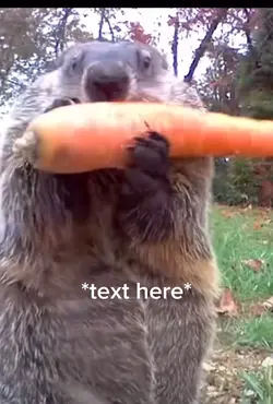 Silly groundhog