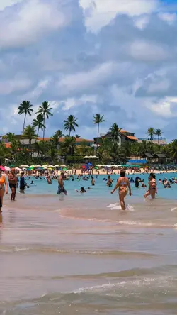 Verão + seus videos