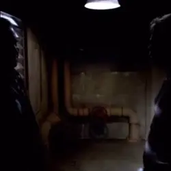 Dexter X Shelby