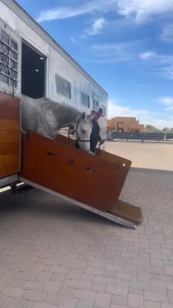 New horsie 😍