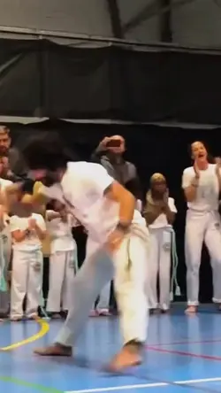 Capoeira Insano