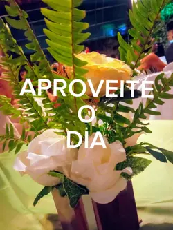 APROVEITE O DIA 