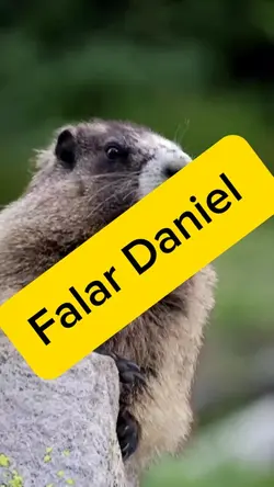 Falar o seu nome 