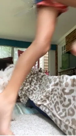 Dog jumping 